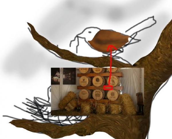 Creation of Feeding: Step 3